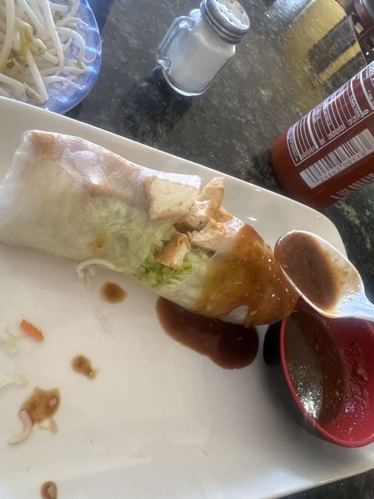 Spring Rolls dish