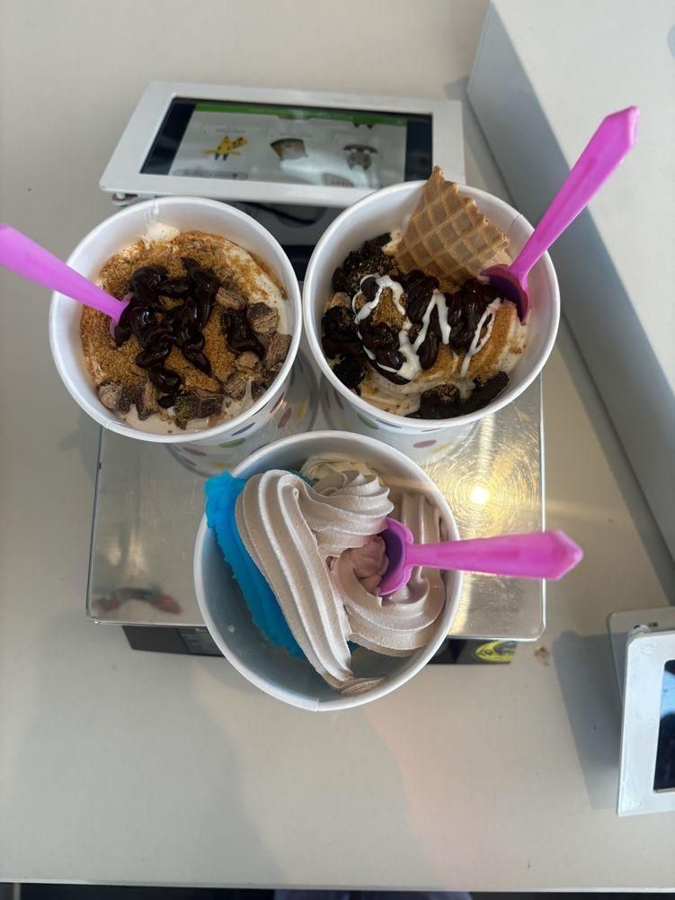 Frozen Yogurt dish