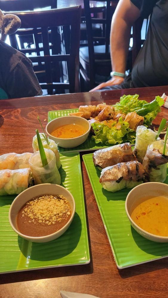 Spring Rolls dish