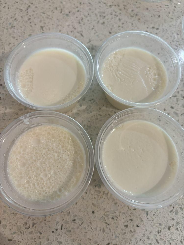 Tofu Puddings dish