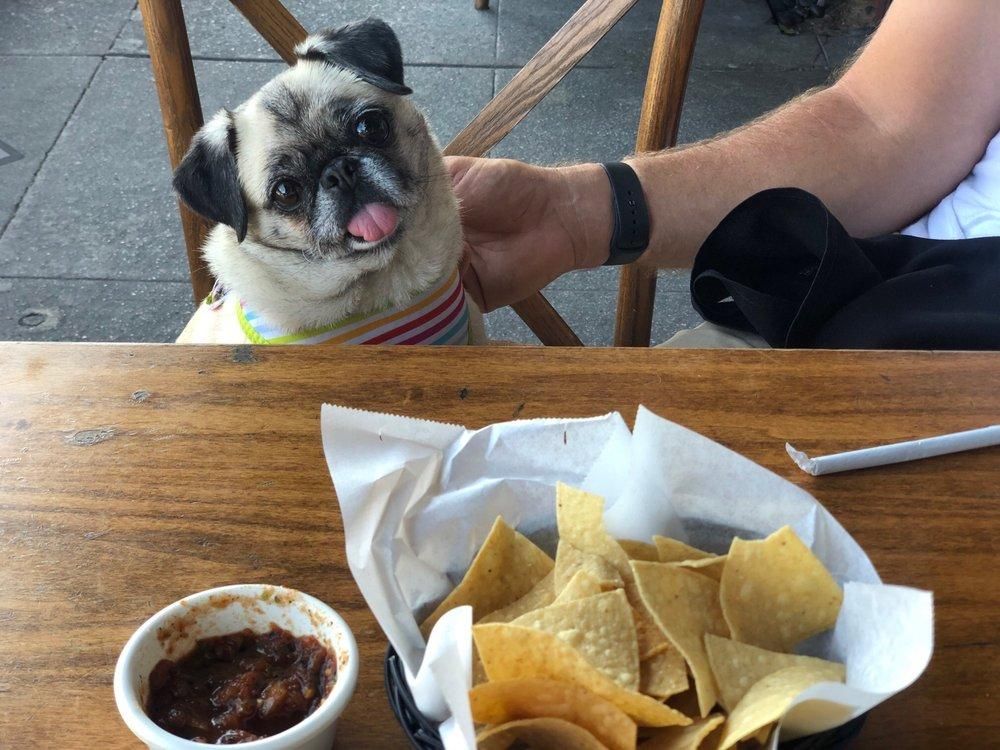 Chips And Salsa dish