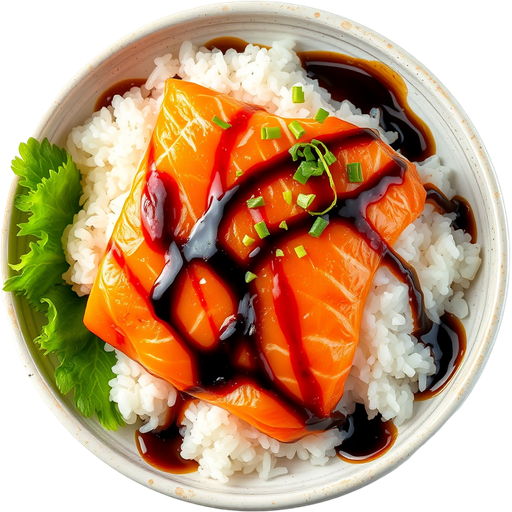 Salmon Sushi dish