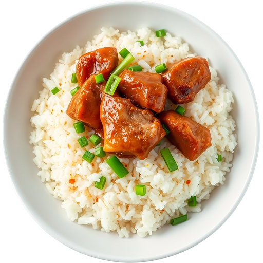 Pork and Rice dish